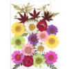 60111410 Flores secas – flores color lila y rosa – Happy Hobby Scrap